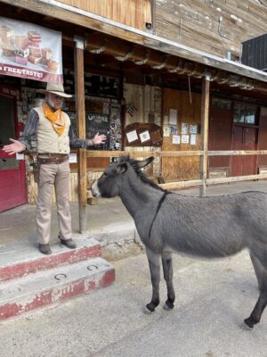 Oatmen Arizona